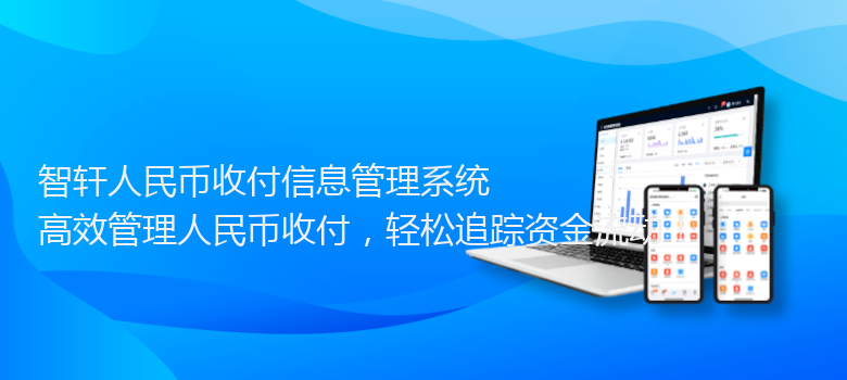 人民币收付信息管理系统